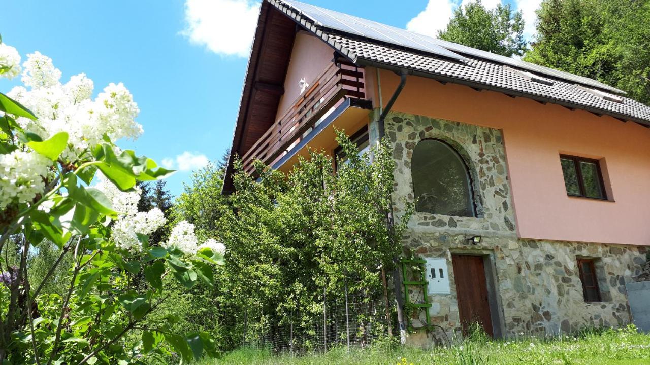 Country House & Spa Mislinja Exterior foto